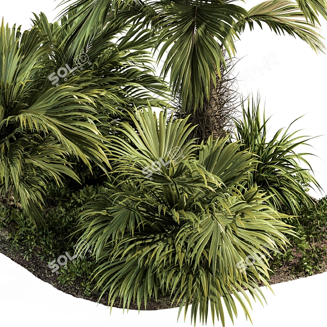 Tropic Oasis Garden Set 3D model image 2