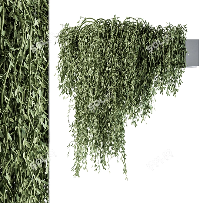 Green Oasis Hanging Plant Set 3D model image 2