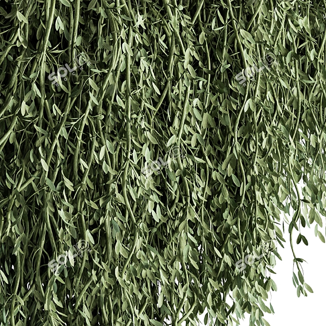 Green Oasis Hanging Plant Set 3D model image 3