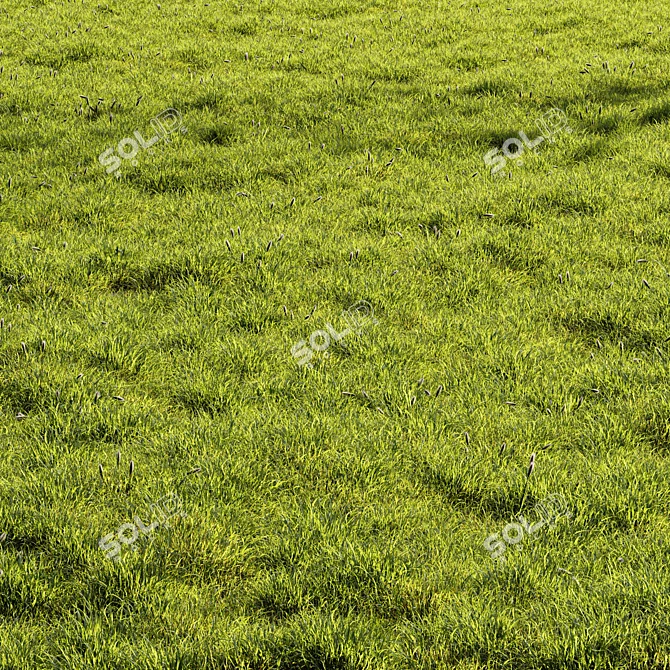 Scenic Meadow Grassland Set 3D model image 1