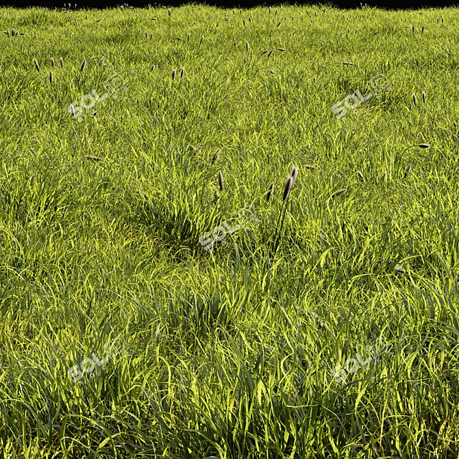 Scenic Meadow Grassland Set 3D model image 2