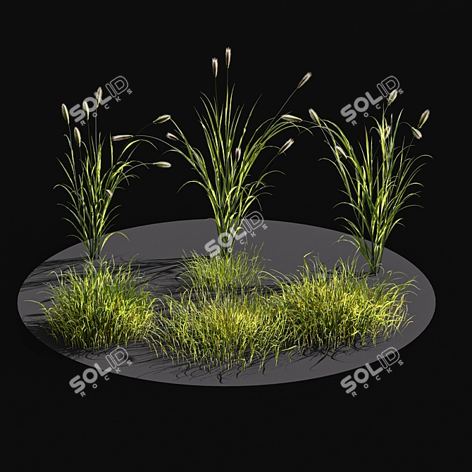 Scenic Meadow Grassland Set 3D model image 3