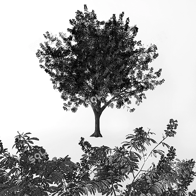 Tall Chestnut Tree (5m) 3D model image 4