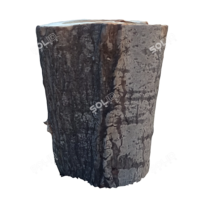 Natural Wood Tree Trunk 28 3D model image 2