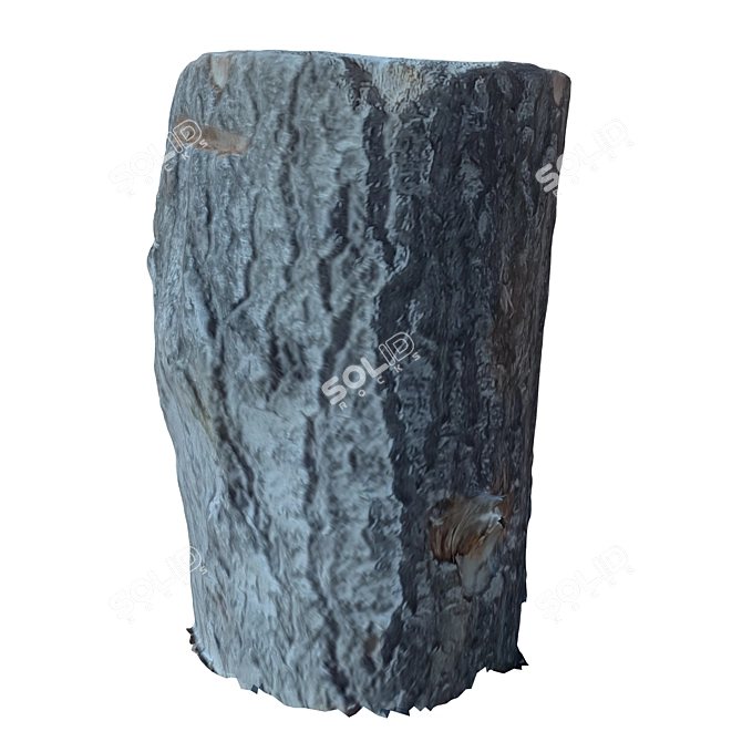 Natural Wood Tree Trunk 28 3D model image 3