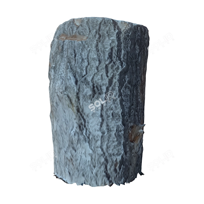 Natural Wood Tree Trunk 28 3D model image 4