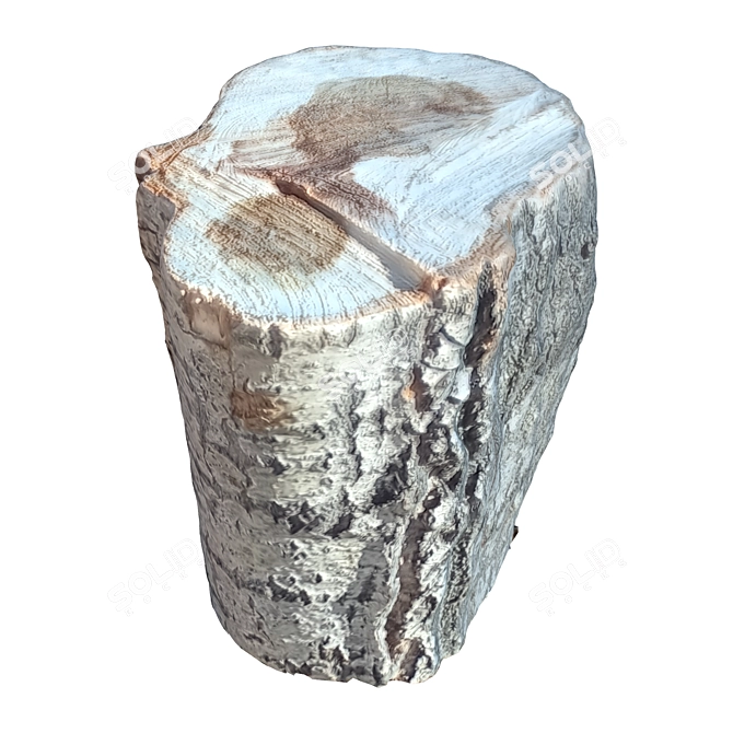Natural Wood Tree Trunk 28 3D model image 5