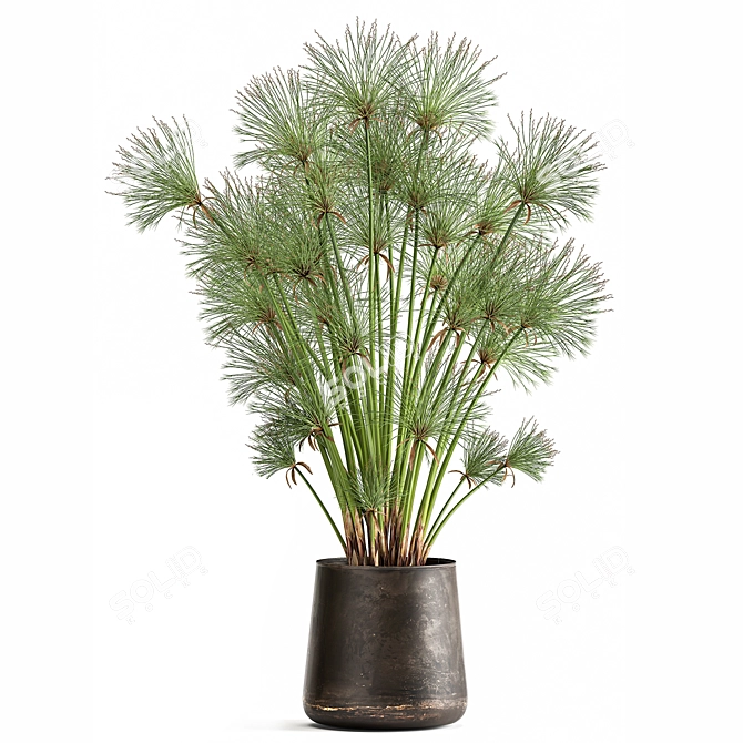 Metallic Potted Plant Collection 3D model image 3