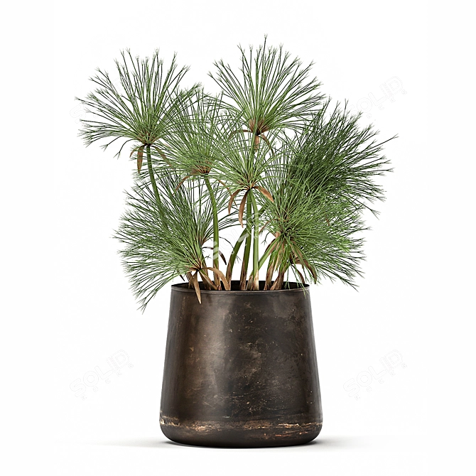 Metallic Potted Plant Collection 3D model image 6