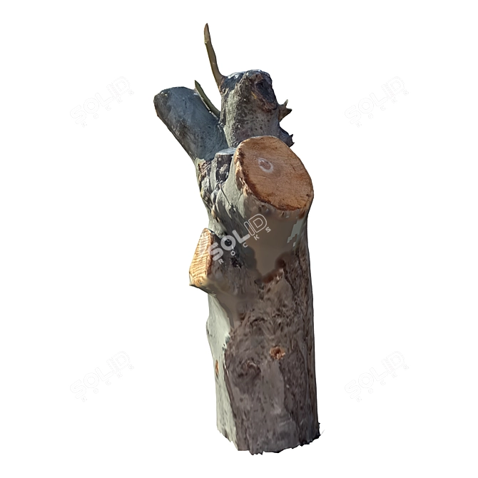 Sculpted Tree Trunk 30 3D model image 1