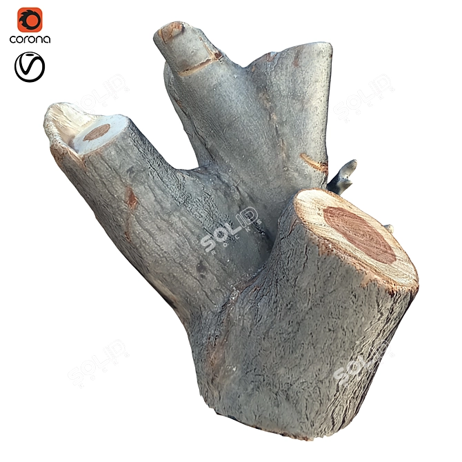 Natural Tree Trunk Decor 3D model image 1