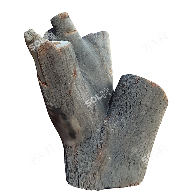 Natural Tree Trunk Decor 3D model image 2