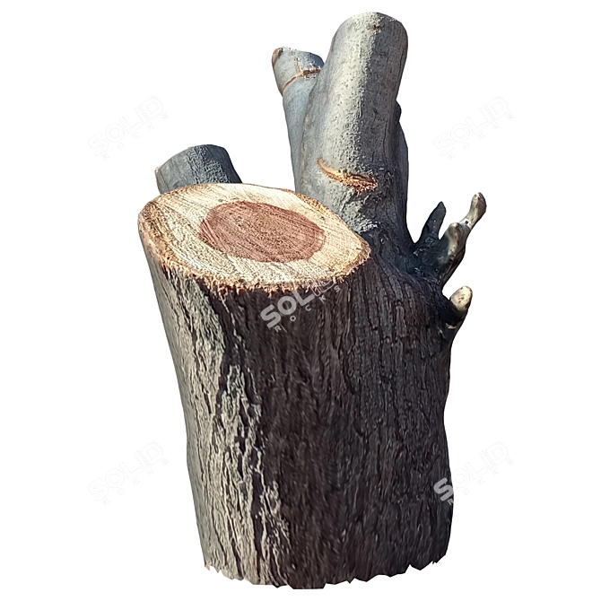 Natural Tree Trunk Decor 3D model image 3