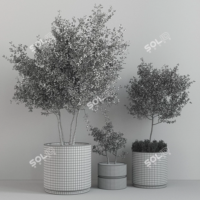 Indoor Jungle - A Set of 15 Lush Houseplants 3D model image 6