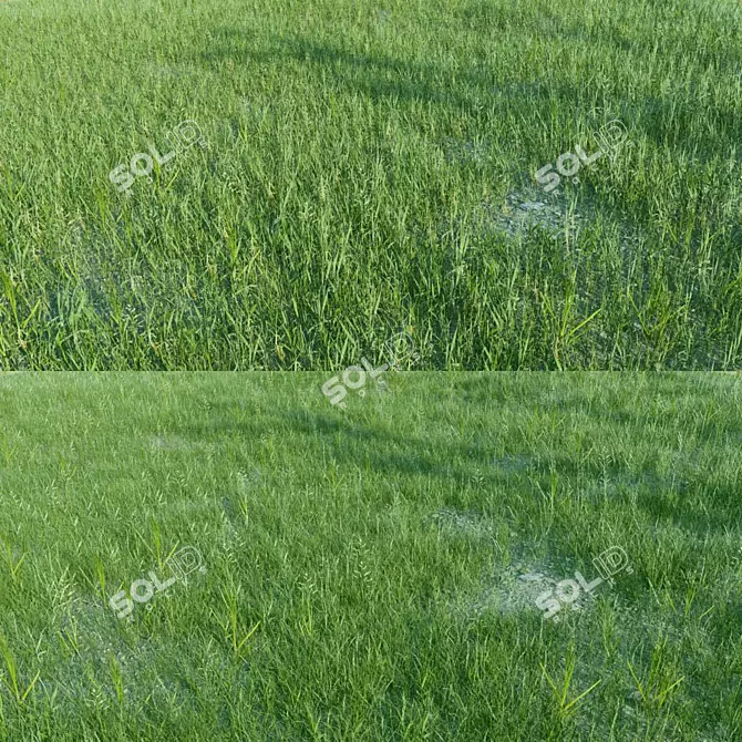 Optimal Grass Collection 3D model image 1