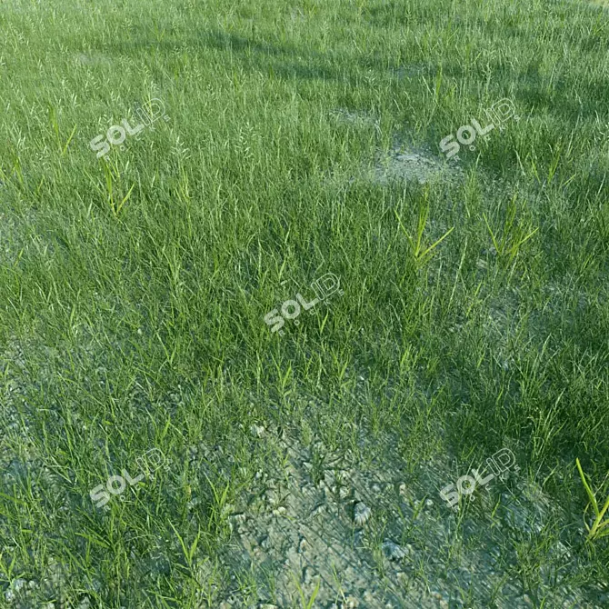 Optimal Grass Collection 3D model image 2