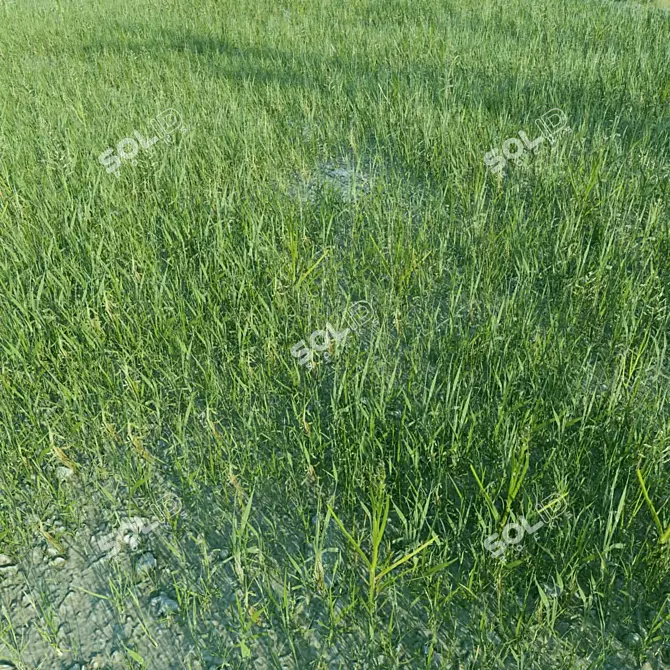 Optimal Grass Collection 3D model image 3