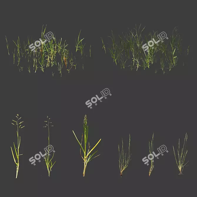 Optimal Grass Collection 3D model image 4