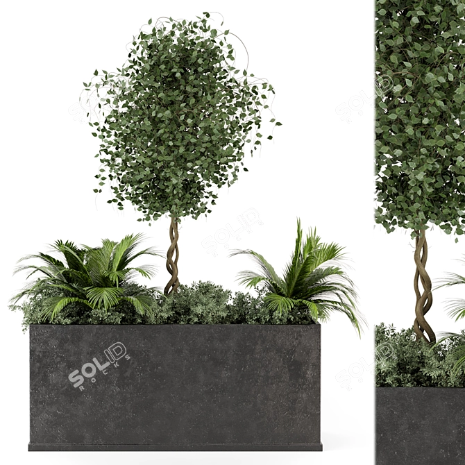 Outdoor Succulent Plants in Concrete Pot 3D model image 1