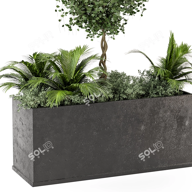 Outdoor Succulent Plants in Concrete Pot 3D model image 4