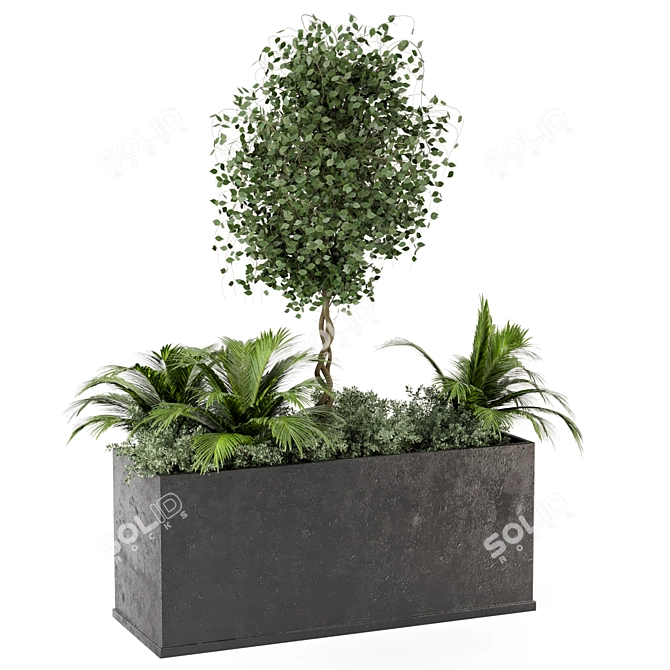 Outdoor Succulent Plants in Concrete Pot 3D model image 5