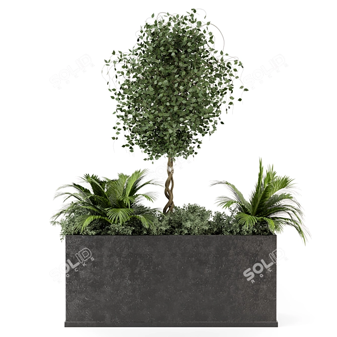 Outdoor Succulent Plants in Concrete Pot 3D model image 6