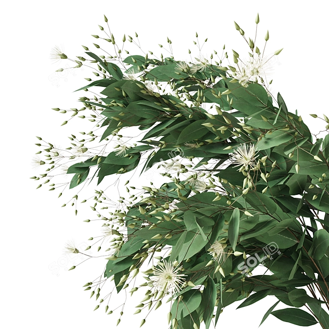 Elegant Eucalyptus Bouquet 3D model image 2