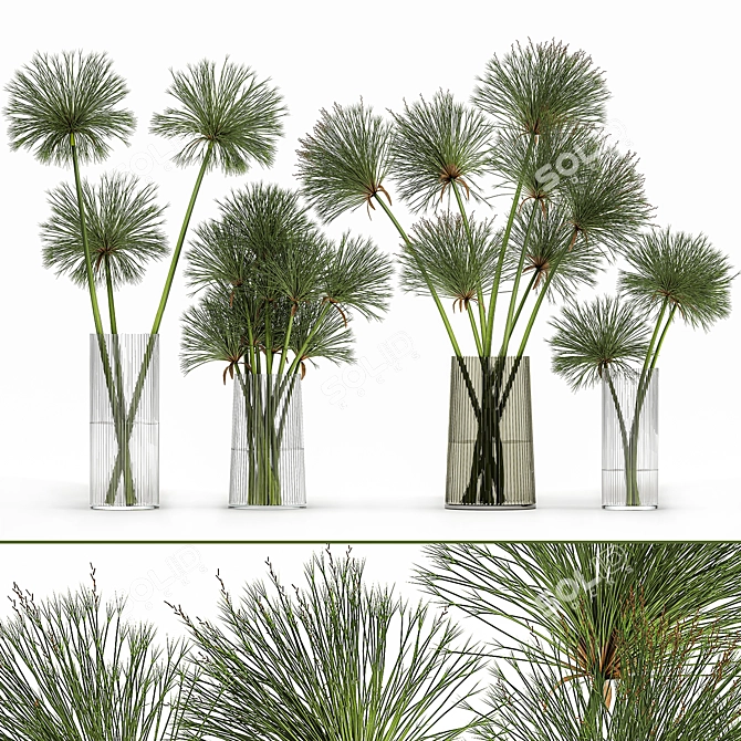 Greenery Delight: Cyperus Papyrus Bouquet 3D model image 1