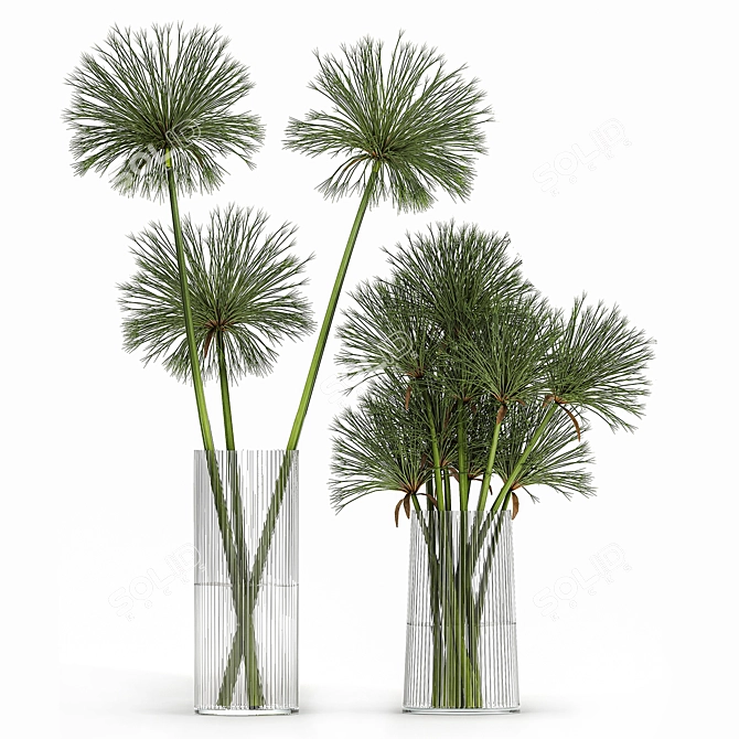 Greenery Delight: Cyperus Papyrus Bouquet 3D model image 3