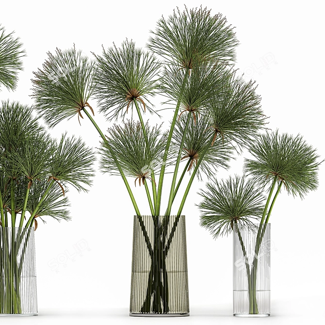 Greenery Delight: Cyperus Papyrus Bouquet 3D model image 4