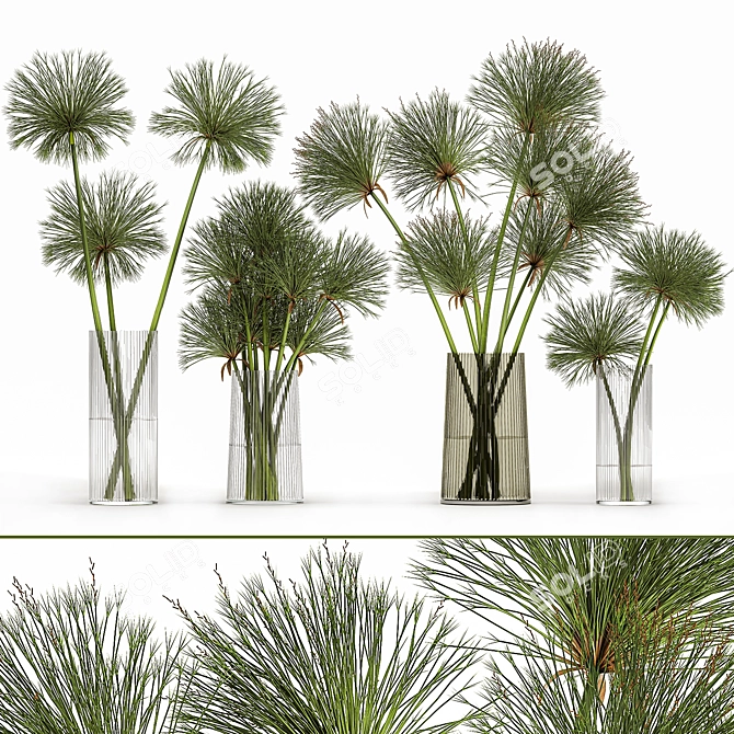 Greenery Delight: Cyperus Papyrus Bouquet 3D model image 8