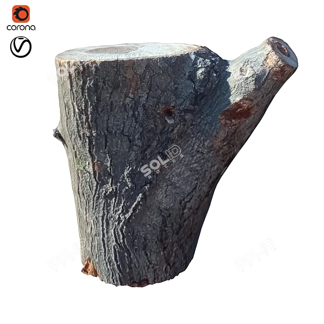 Natural Wood Trunk Sculpture 3D model image 1