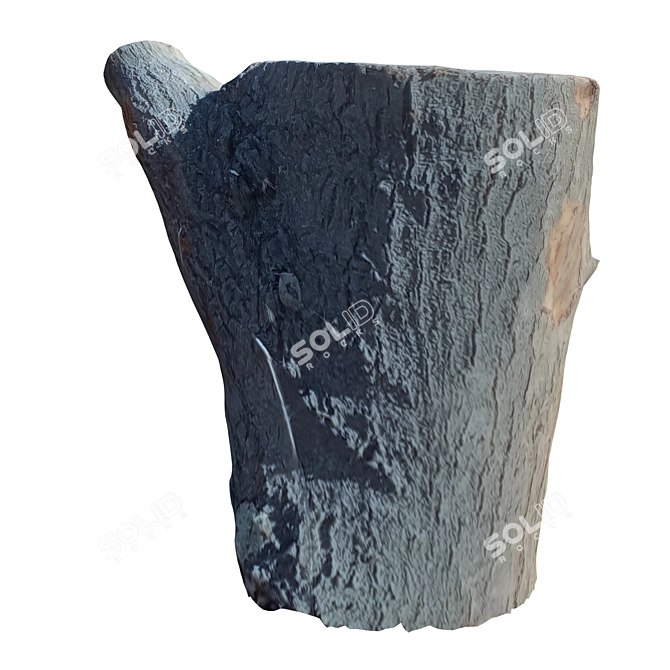 Natural Wood Trunk Sculpture 3D model image 3