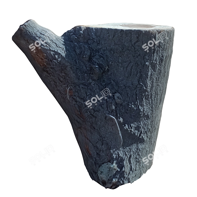 Natural Wood Trunk Sculpture 3D model image 4