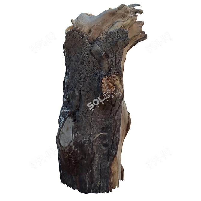 Natural Tree Trunk Decor: Trunk_34 3D model image 2