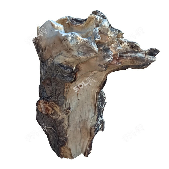 Natural Tree Trunk Decor: Trunk_34 3D model image 3