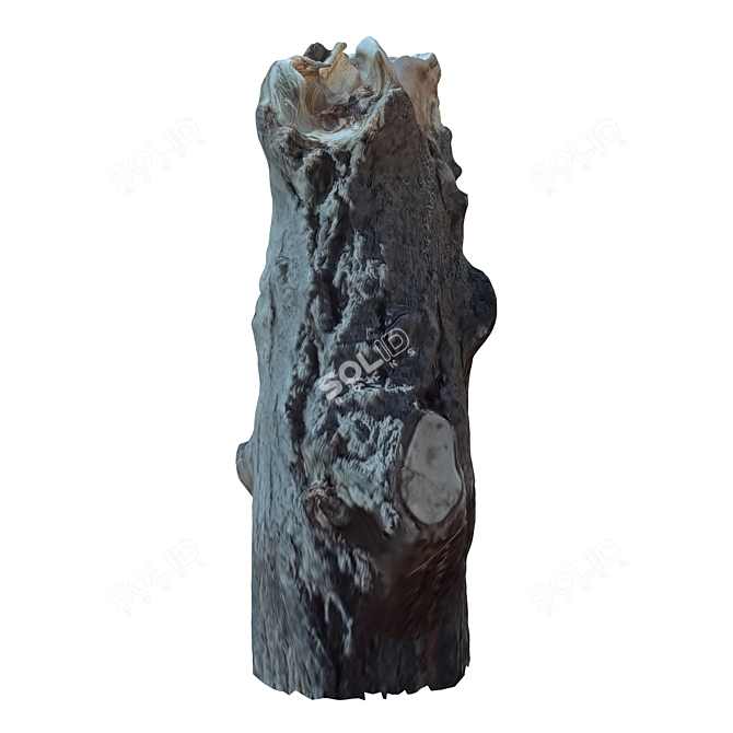 Natural Tree Trunk Decor: Trunk_34 3D model image 4