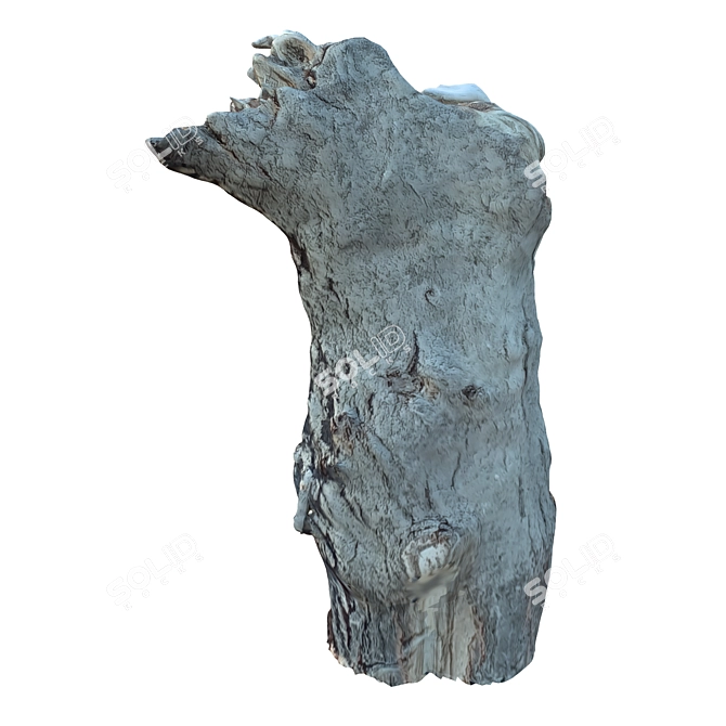 Natural Tree Trunk Decor: Trunk_34 3D model image 5