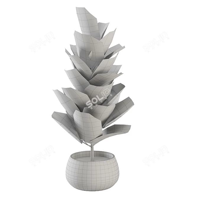 Enchanting Indoor Plants Collection 3D model image 7