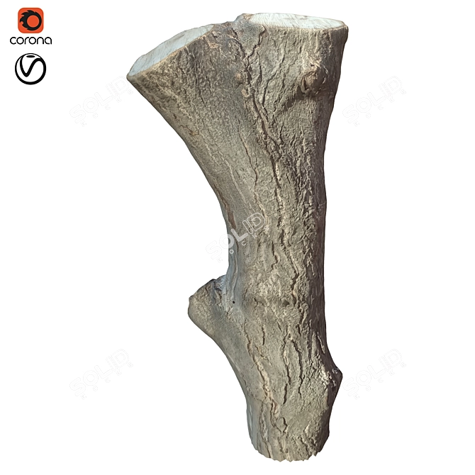 Natural Tree Trunk Decor 3D model image 1