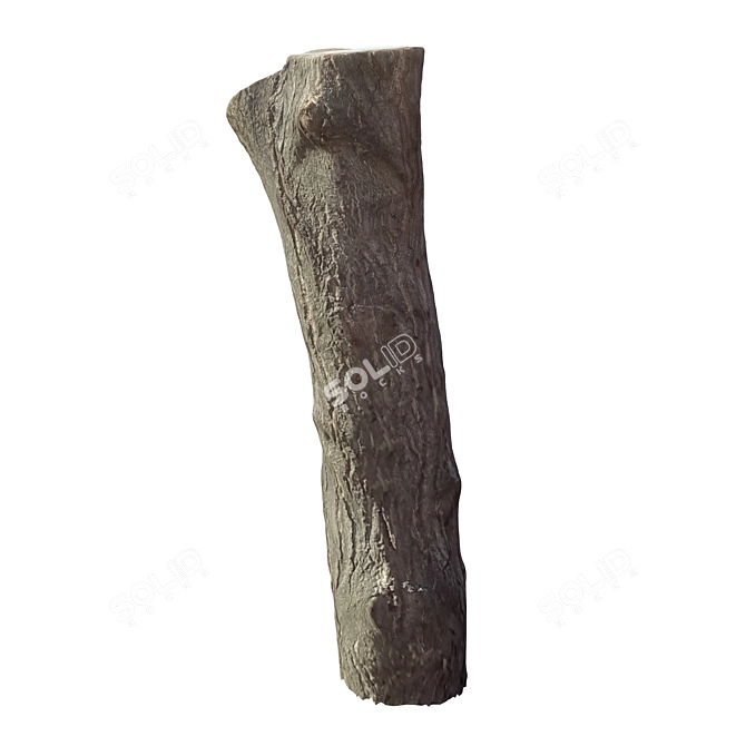 Natural Tree Trunk Decor 3D model image 2