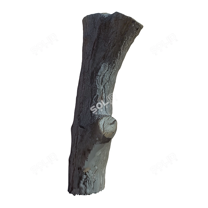 Natural Tree Trunk Decor 3D model image 4