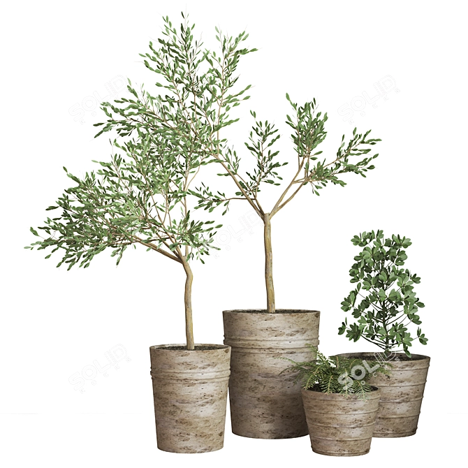 16-Piece Indoor Plant Set 3D model image 1