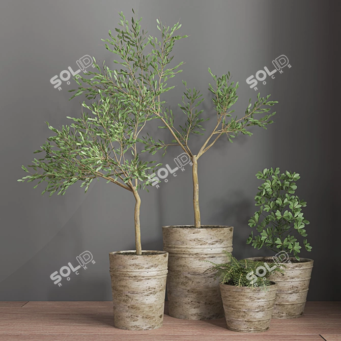 16-Piece Indoor Plant Set 3D model image 2