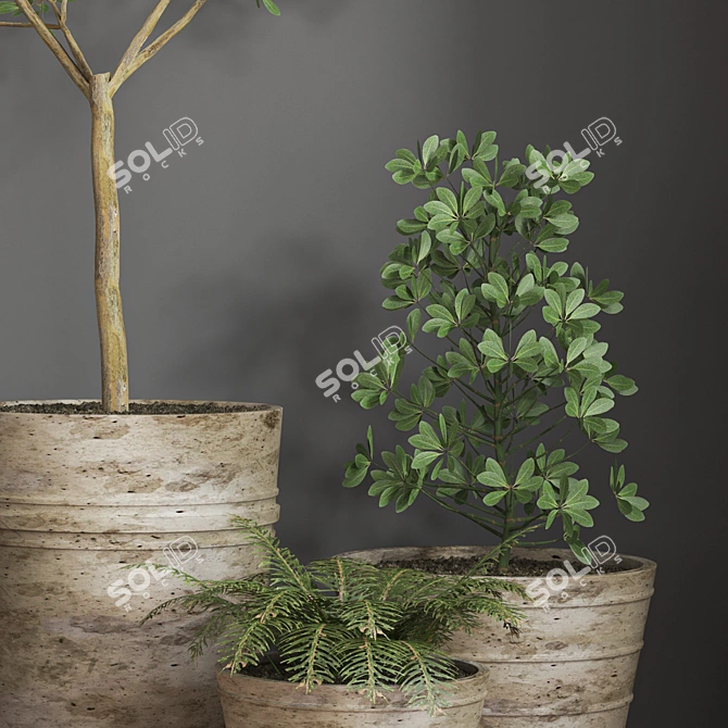 16-Piece Indoor Plant Set 3D model image 5