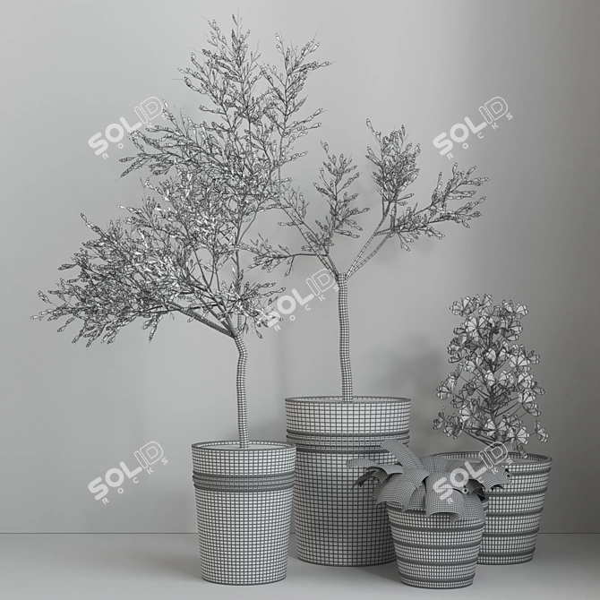 16-Piece Indoor Plant Set 3D model image 6