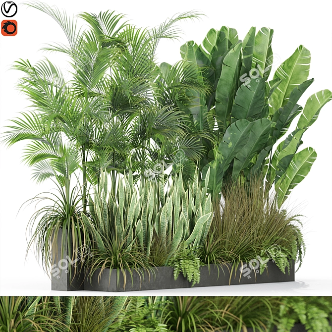 Botanical Bliss: 586 Stunning Plants 3D model image 1
