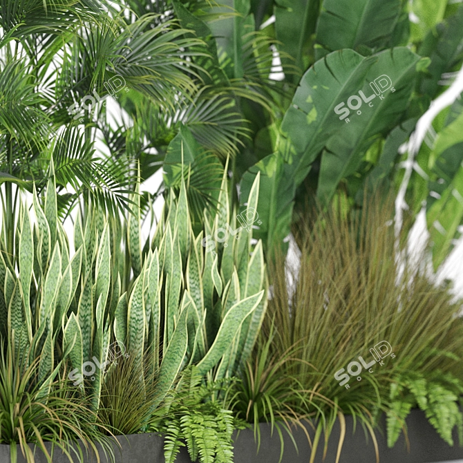Botanical Bliss: 586 Stunning Plants 3D model image 2