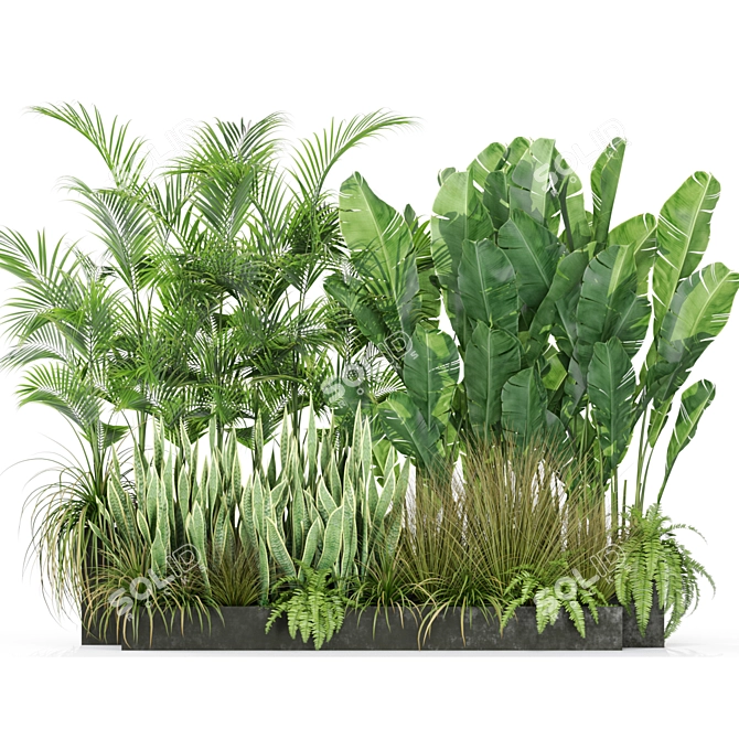 Botanical Bliss: 586 Stunning Plants 3D model image 4