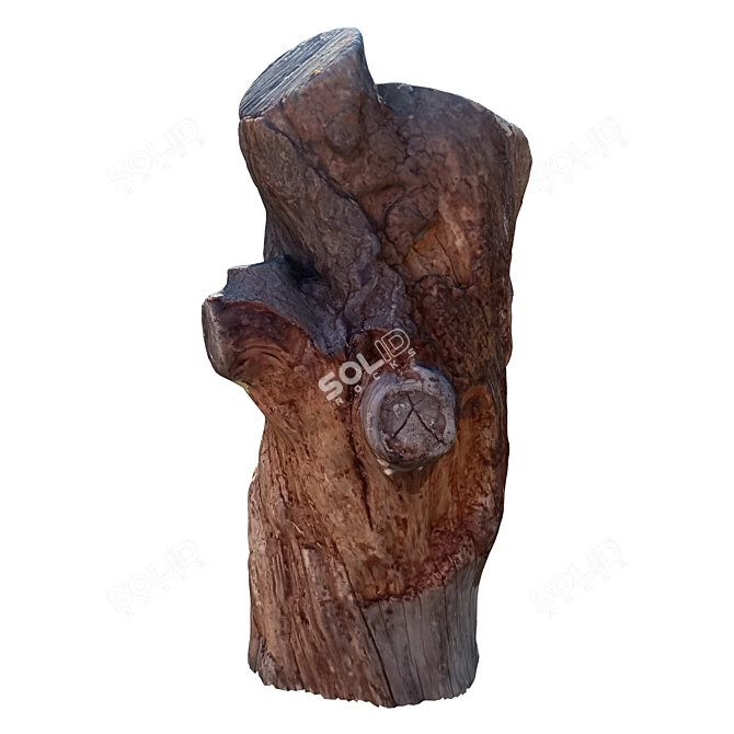 Natural Wood Tree Trunk Sculpture 3D model image 2